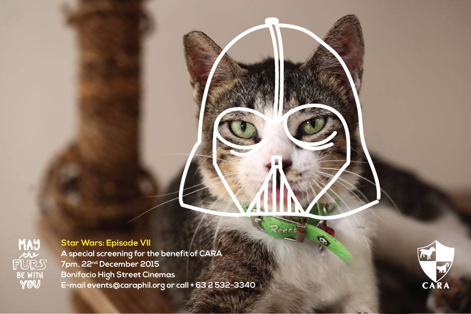 Darth Vader Cat - Star Wars The Force Awakens Episode VII