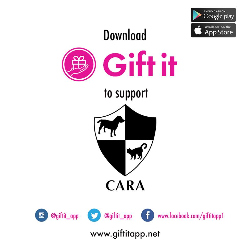 Download Gift it to support animal welfare in the Philippines