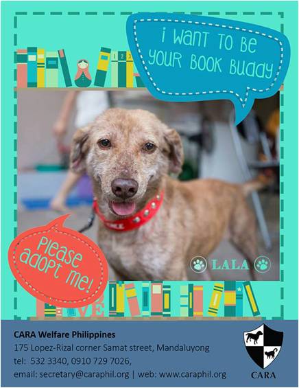 Lala - book buddy - Dog for Adoption - CARA - animal welfare in the Philippines