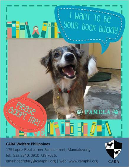 Pamela - book buddy - Dog for Adoption - CARA - animal welfare in the Philippines