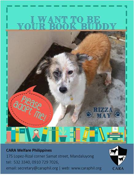 Rizza May - book buddy - Dog for Adoption - CARA - animal welfare in the Philippines