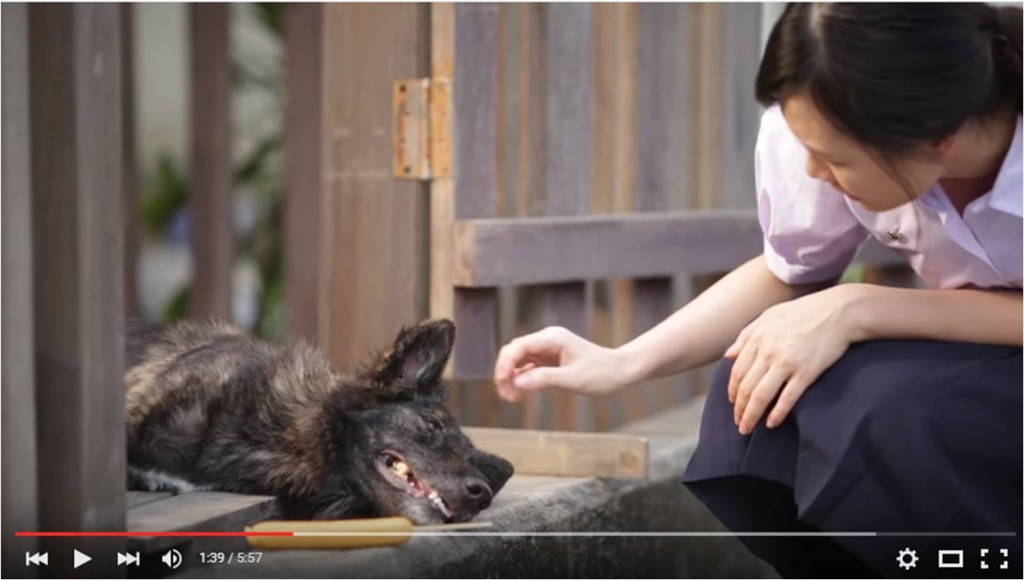 Video A girl and the dog who taught her to dream and to love