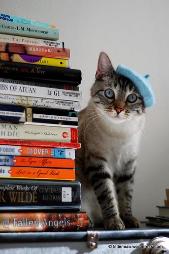 CARA Animal Welfare - fundraising - donate books