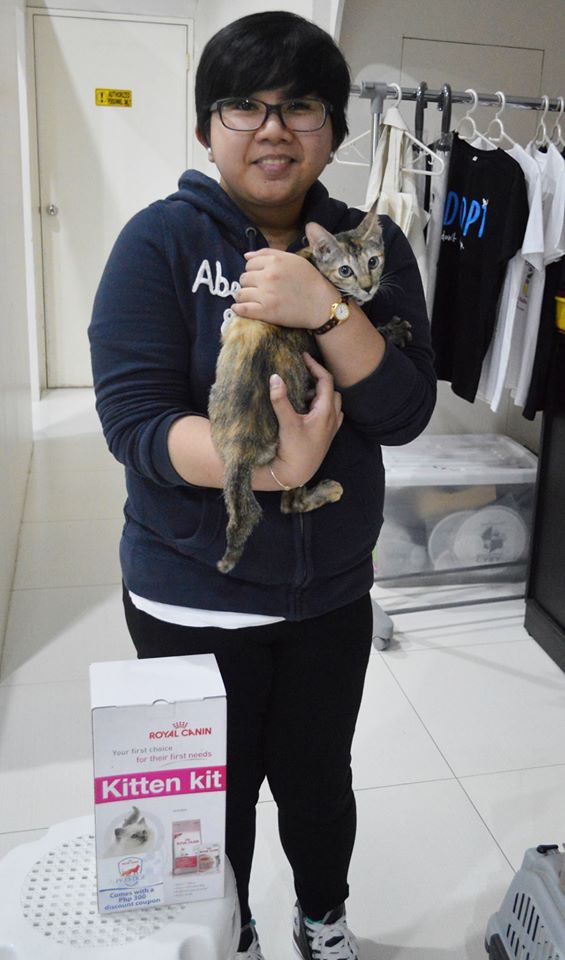 February-Adoption Stories-CARA cat Stella-Royal Canin Philippines