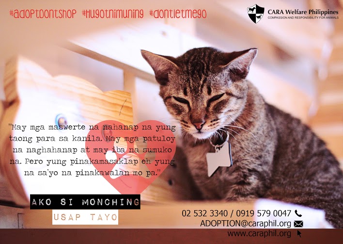 Hugot ni monching- animal welfare in the Philippines - how to adopt pets