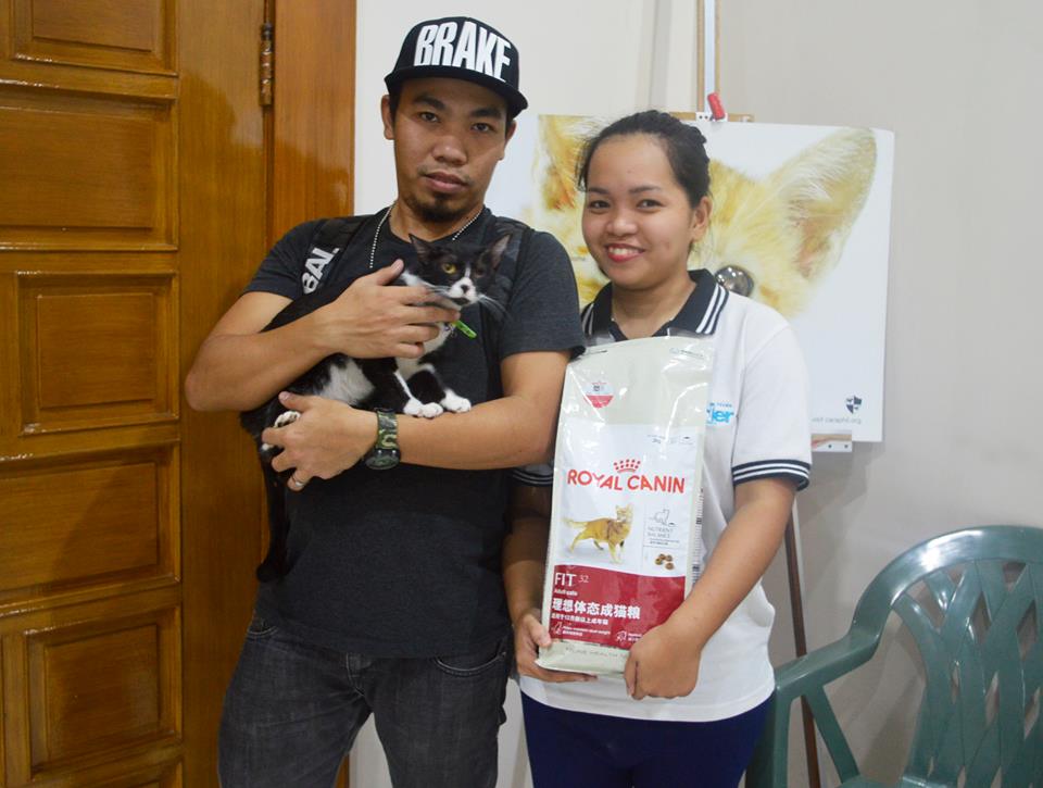 March-Adoption Stories-CARA cat Superman-Adopt Dont Shop-Royal Canin Philippines