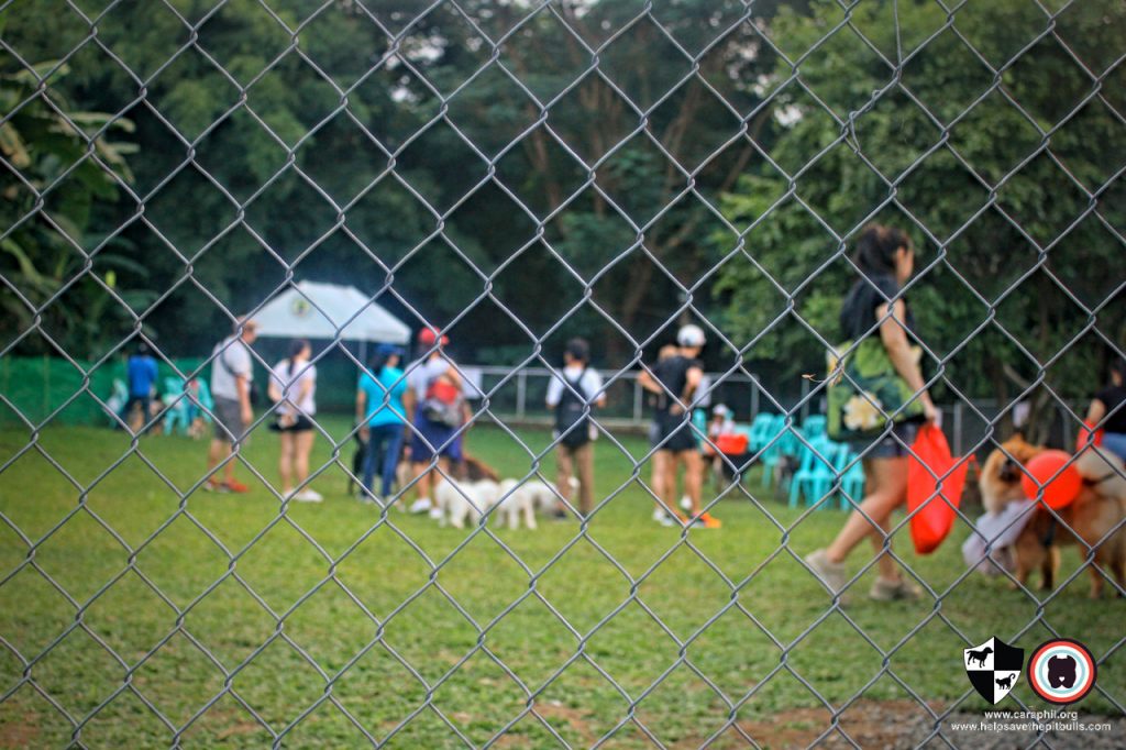 Oct 2017 Ayala Alabang Village Dog Park CARA Welfare Philippines Events cover